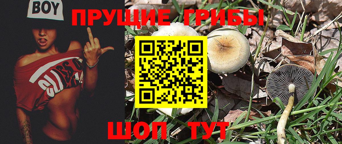 Псилоцибиновые грибы мухоморы  Вход с VPN  Галлюциногенные грибы Psilocybine cubensis  Королёв 